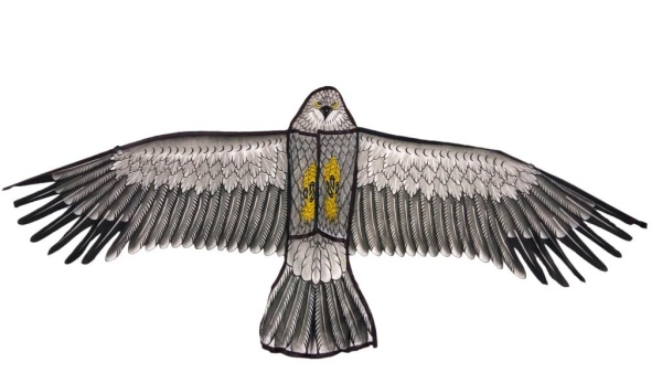 L05035